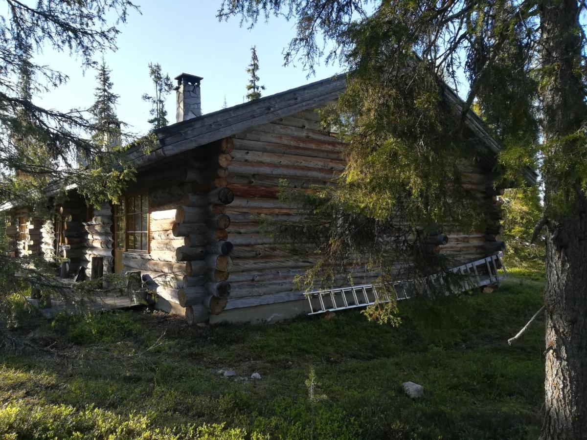 Logwood Chalet 루오스토 외부 사진