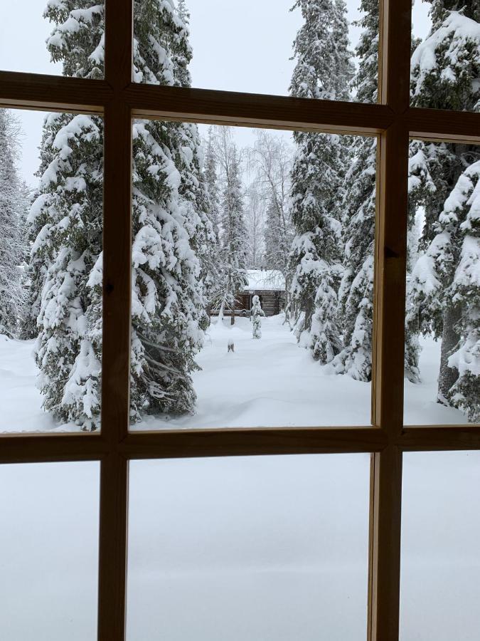 Logwood Chalet 루오스토 외부 사진